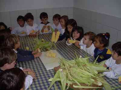 COMIDAS TÍPICAS DE FESTAS JUNINAS - Educação Infantil. 